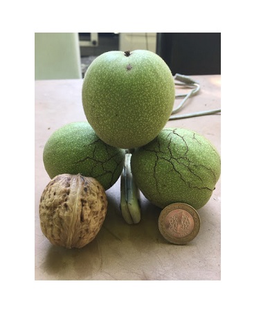 Avuçlara Sığmayan Boyut