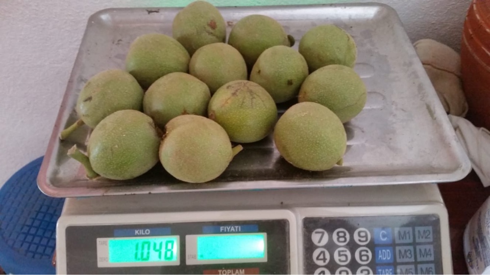 1 TL ve Yumurta ile Kıyaslama